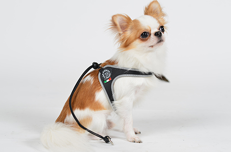 リベルタ　<br>（お洋服とご一緒に）