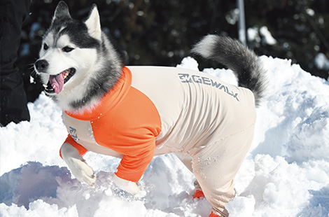 ロンパース<br>（光電子）