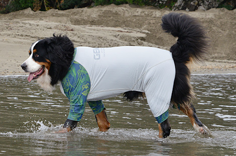 ロンパース<br>（マイナスフリージング）