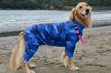 ロンパース<br>（プロテクト）