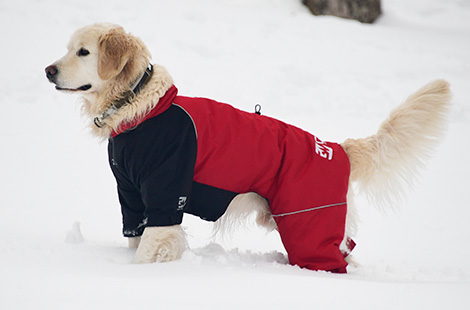 オーバーオール