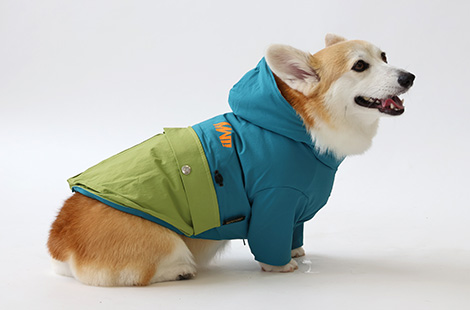 ベスト・ジャケット