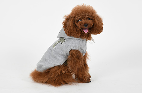 パーカー・スウェット