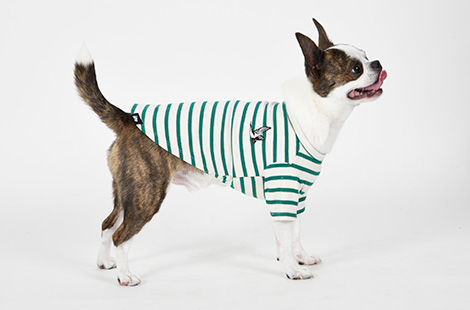 シャツ・タンクトップ