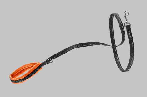 リーシュ<br>（リード）