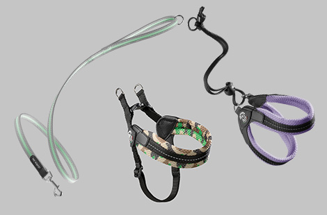 オンラインショップ限定