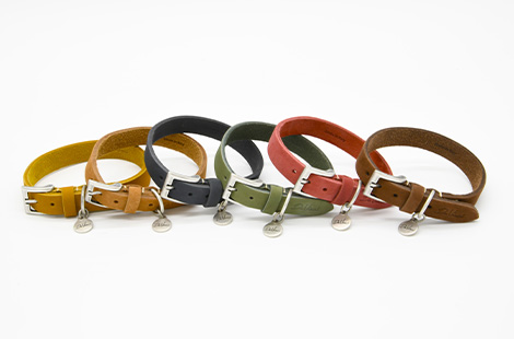 カラー(首輪）