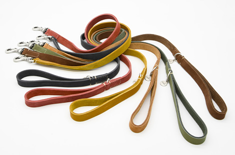 リーシュ<br>（リード）