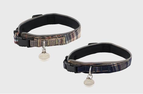 カラー(首輪）
