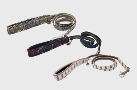 リーシュ<br>（リード）