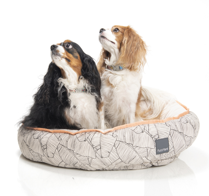 【FuzzYard】FZリバーシブルベッド ハレクラニ2021