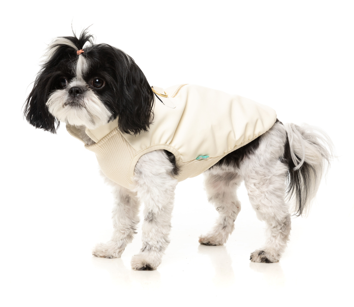 【FuzzYard】ビエンナジャケット オフホワイト