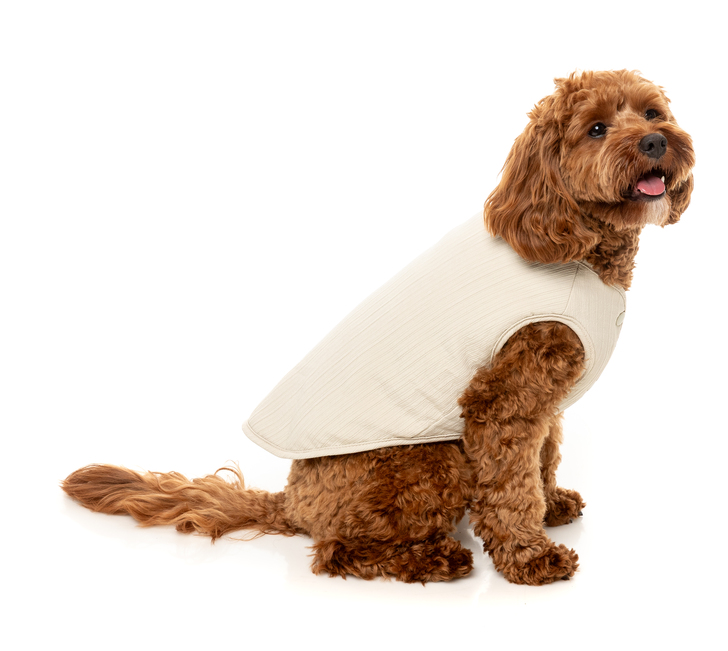 【FuzzYard】ウメダジャケット　ボーン