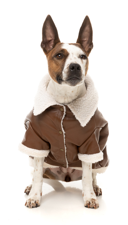 【FuzzYard】アヴァジャケット