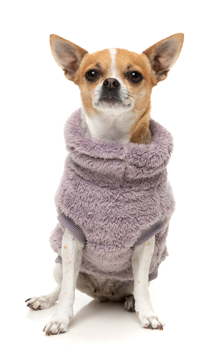 【FuzzYard】タートルテディ25セーター ラベンダー