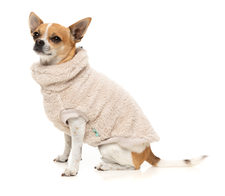 【FuzzYard】タートルテディ25セーター ベージュ