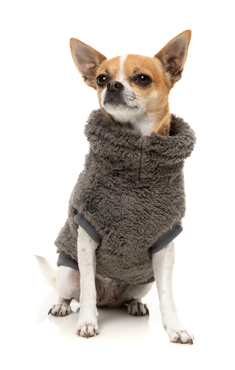 【FuzzYard】タートルテディ25セーター ガンメタルグレー