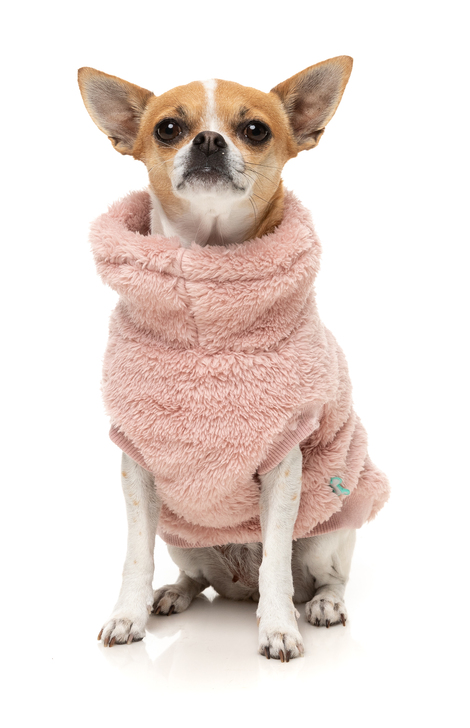 【FuzzYard】タートルテディ25セーター ブロッサムピンク