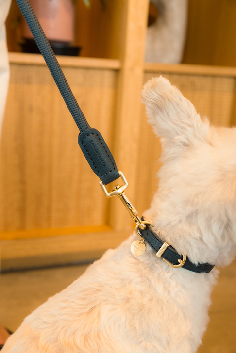 【FuzzYard LIFE】ライフアトリエドッグカラースレートグレー