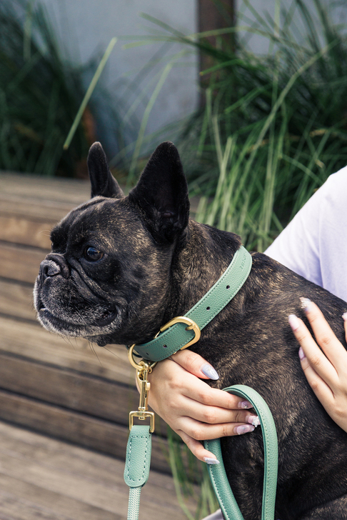 【FuzzYard LIFE】ライフアトリエドッグカラーマートルグリーン