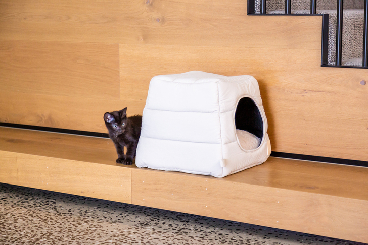 【FuzzYard LIFE】ライフカビー