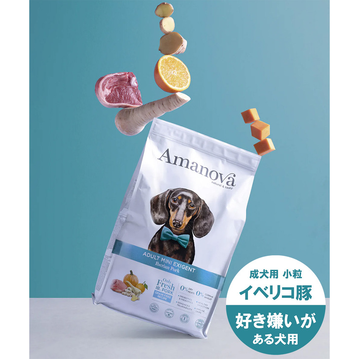 【AMANOVA】アダルト　ミニ　エクシジェント　イベリアン　ポーク