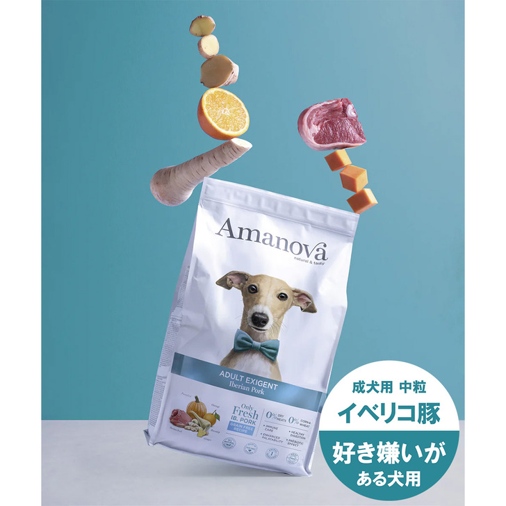 【AMANOVA】アダルト　エクシジェント　イベリアン　ポーク