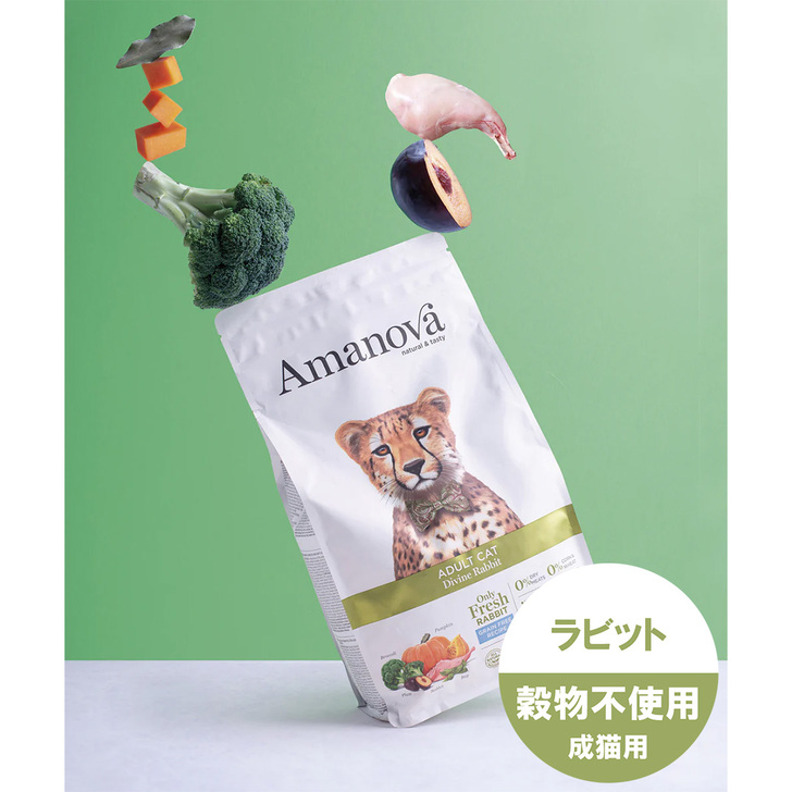 【AMANOVA】アダルト　キャット　ディバイン　ラビット