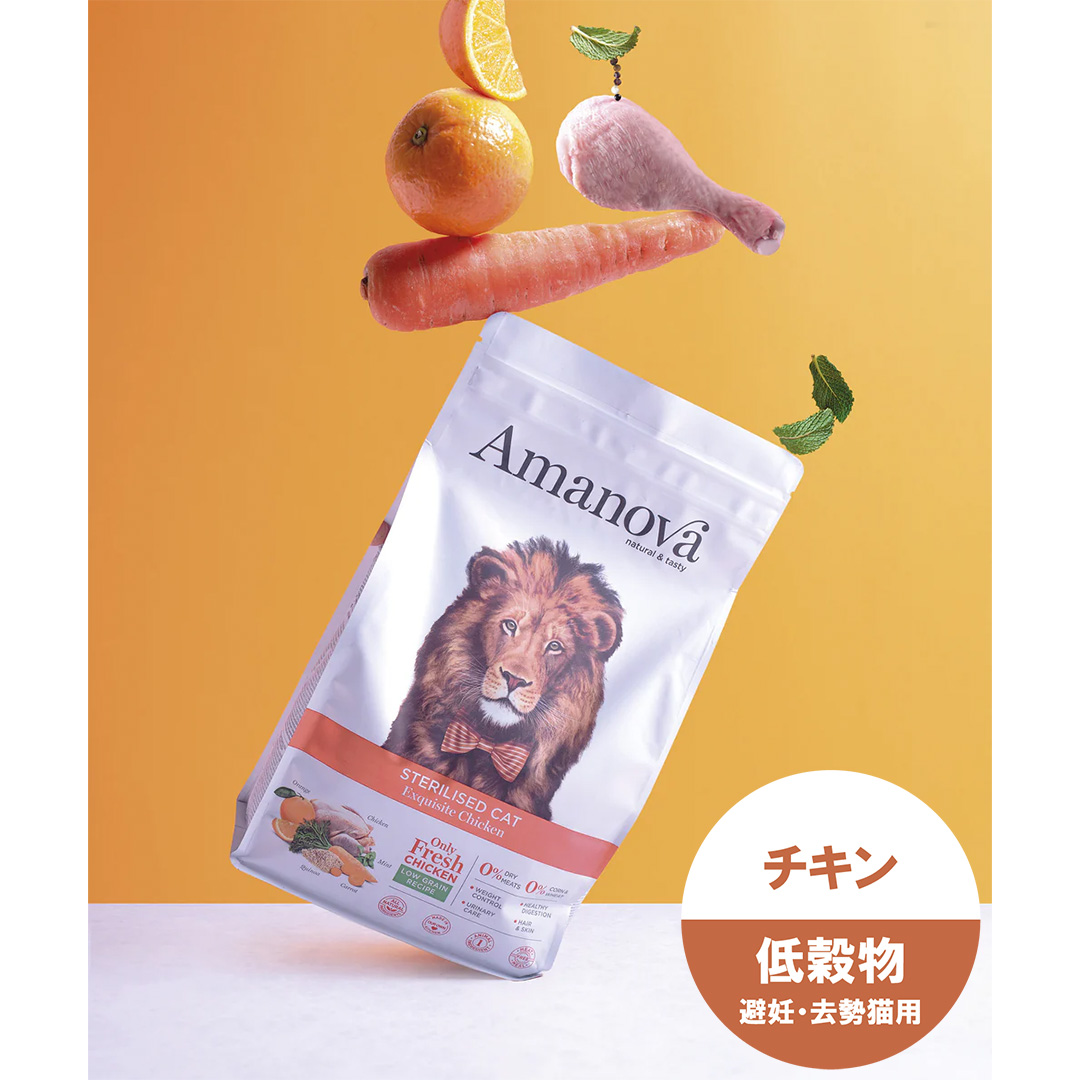 【AMANOVA】ステアライズド　キャット　エクスクイジット　チキン
