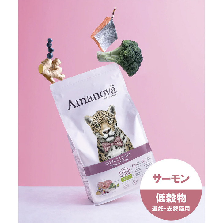 【AMANOVA】ステアライズド　キャット　サーモン　デラックス