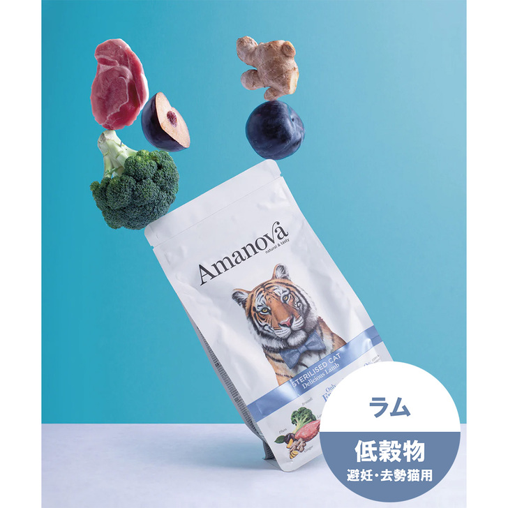 【AMANOVA】ステアライズド　キャット　デリシャス　ラム