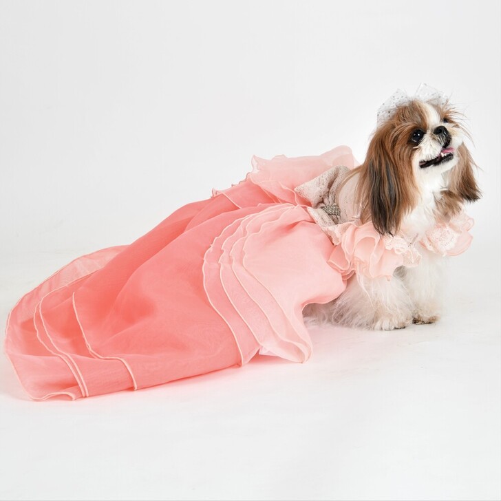 【BONNIE&CO.】Bonnie　Farmidable(ボニー　フォーミダブル)