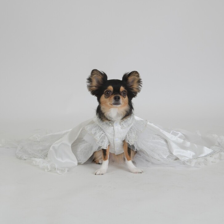 【BONNIE&CO.】Bonnie　Reve(ボニー　レヴェ)