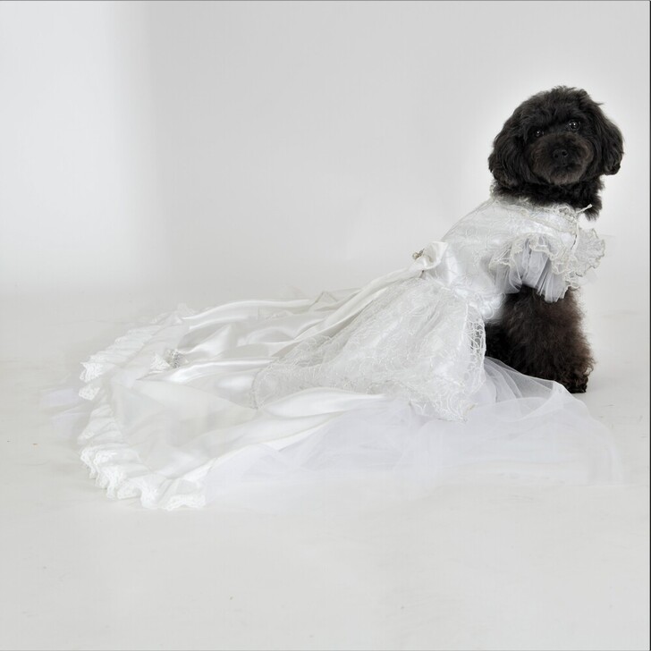 【BONNIE&CO.】Bonnie　Cheri(ボニー　シェリ)