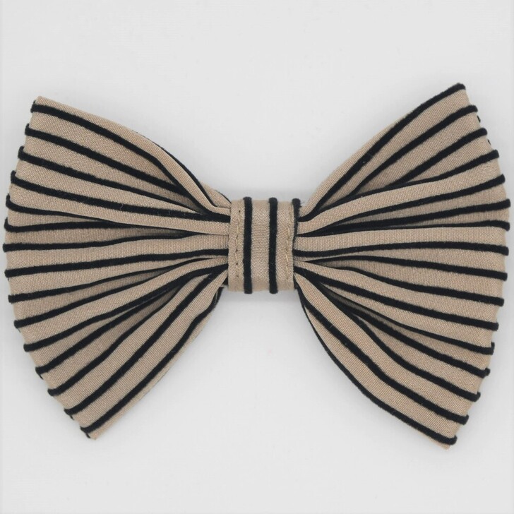 20.ﾍﾞｰｼﾞｭ