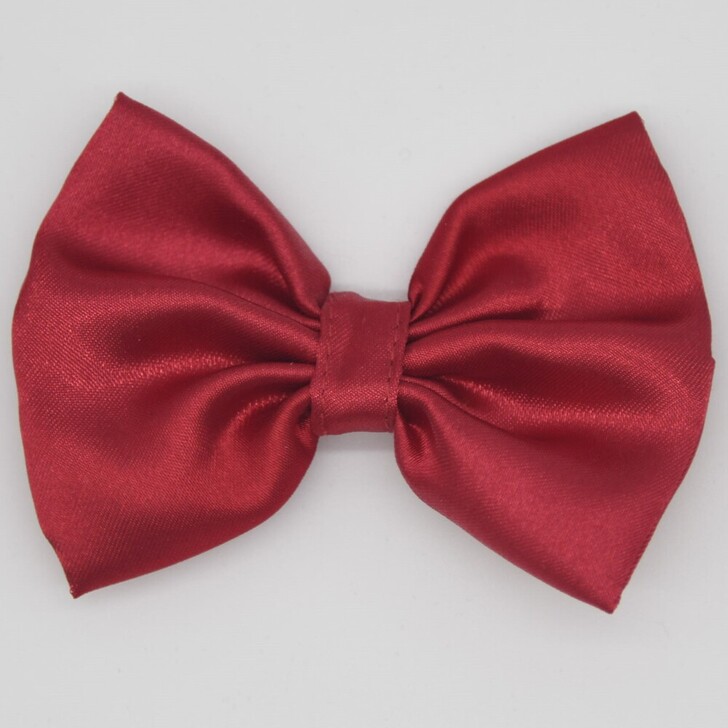 41.ﾜｲﾝﾚｯﾄﾞ