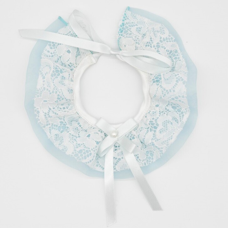 77.ﾀｰｺｲｽﾞ