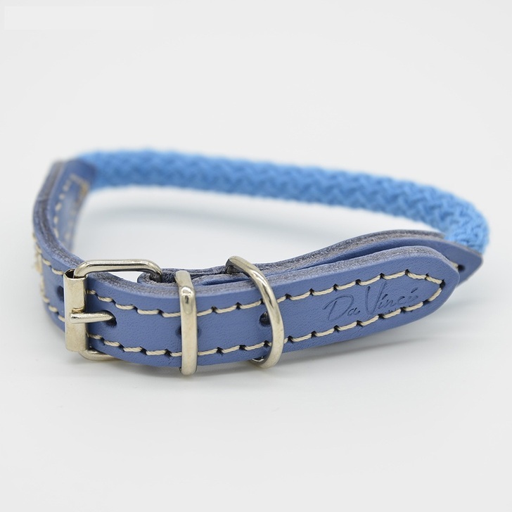 76.ｽｶｲﾌﾞﾙｰ