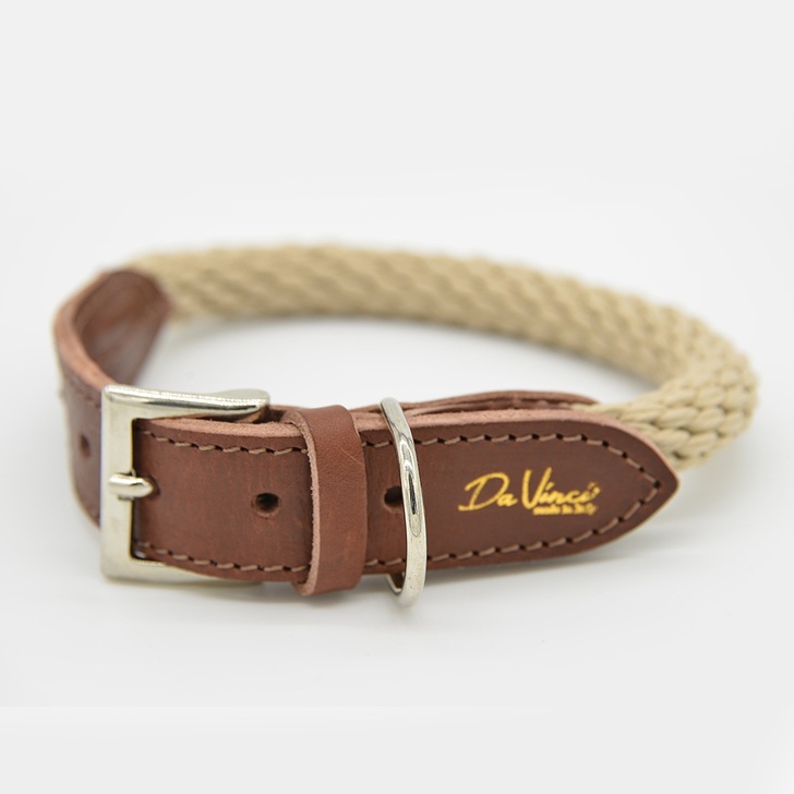 20.ﾍﾞｰｼﾞｭ