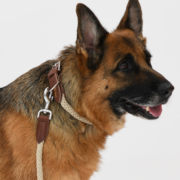 【Da Vinci】LUCREZIA　Collar(ルクレツァカラー)