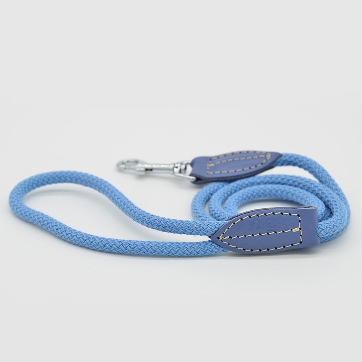 76.ｽｶｲﾌﾞﾙｰ