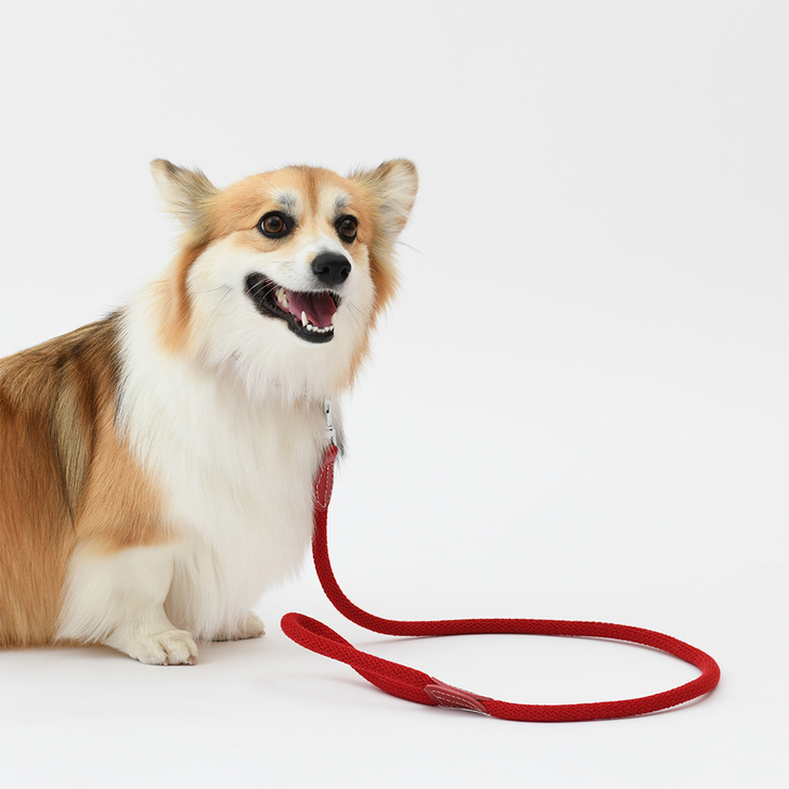 【Da Vinci】Bianca　cotton　rope　leash120(ビアンカコットンロープリーシュ120)