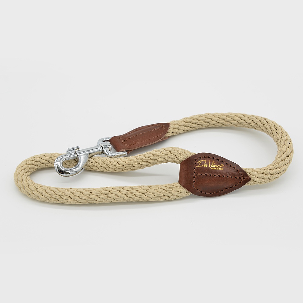 20.ﾍﾞｰｼﾞｭ