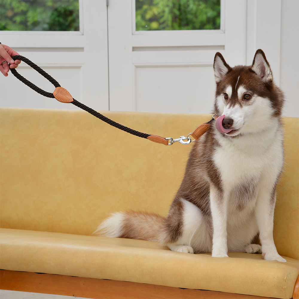 【Da Vinci】LUCREZIA　Leash(ルクレツァリーシュ)