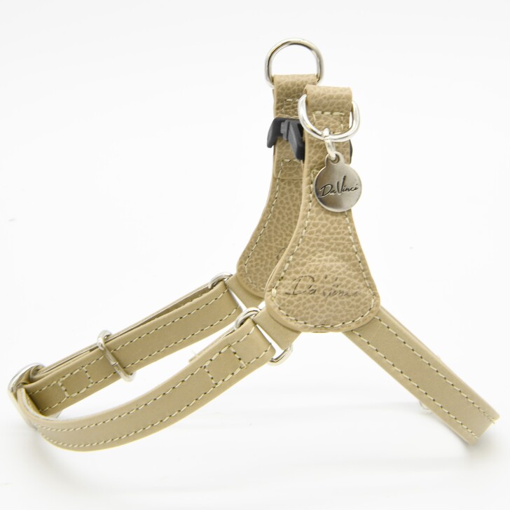 20.ﾍﾞｰｼﾞｭ