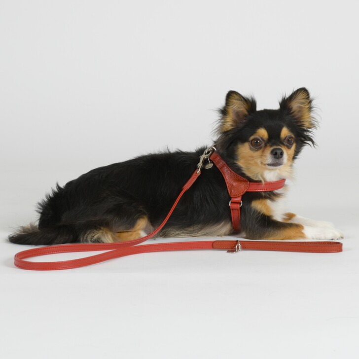 【Da Vinci】MARGOT　SOFT　LEATHER　HARNESS(マルゴット　ソフト　レザー　ハーネス)