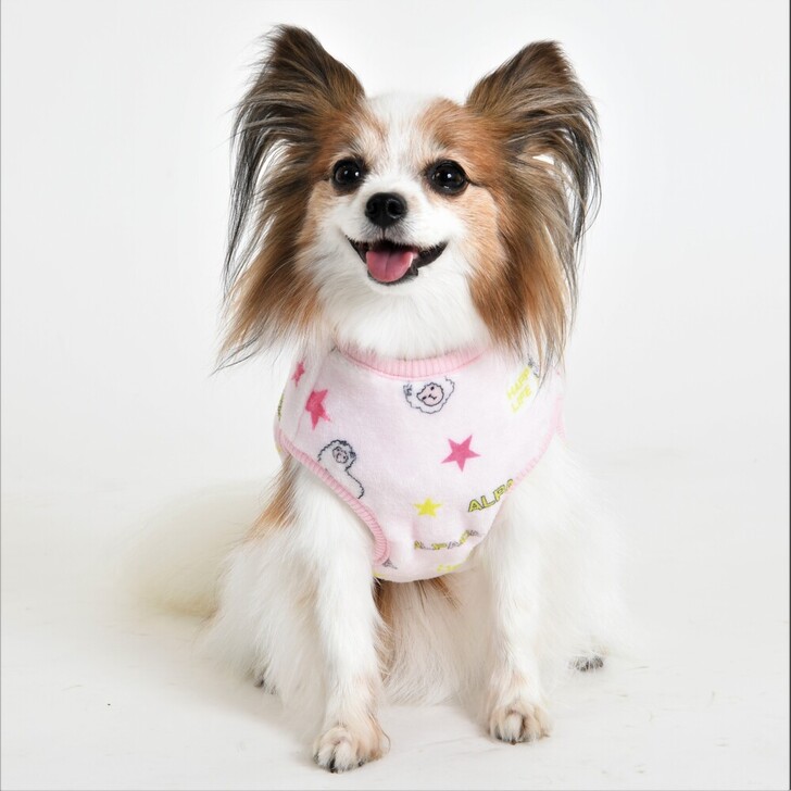 【ALPACA】アルパカリバーシブル