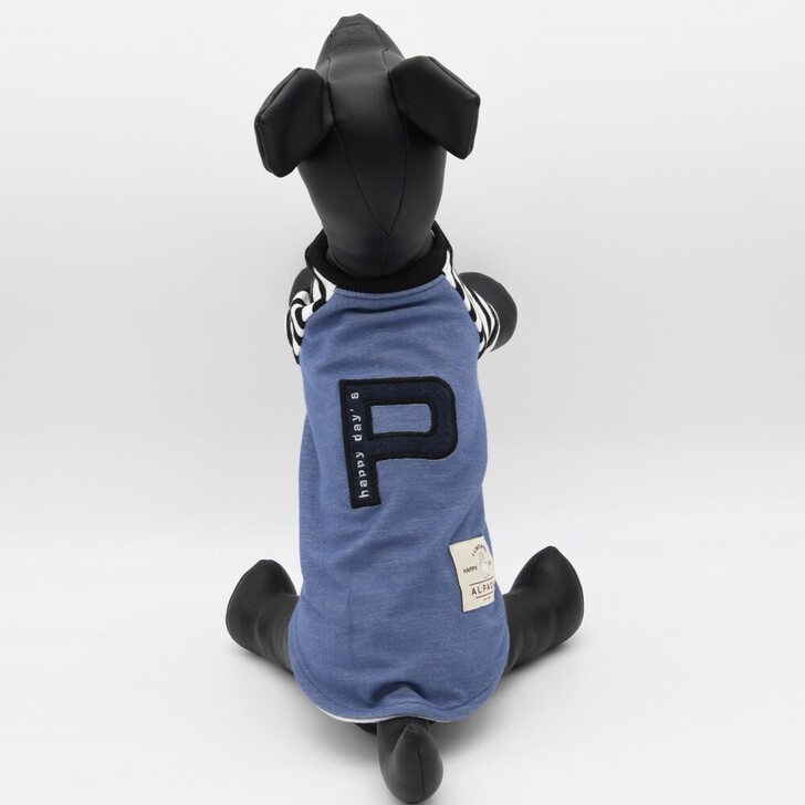 【ALPACA】アルパカ英字ワッペンラグラン