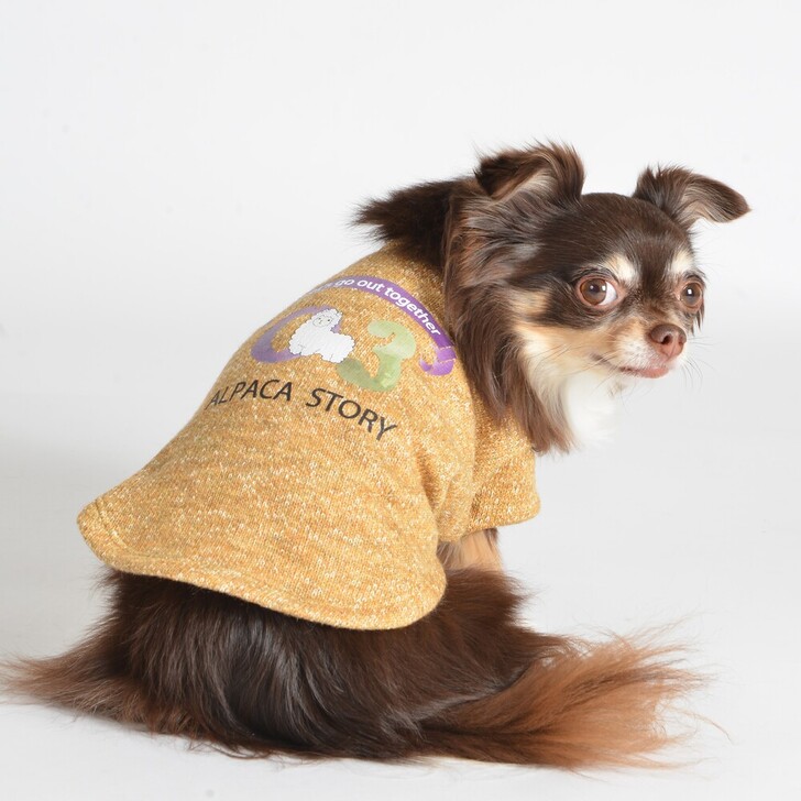 【ALPACA】アルパカ裏パイルトレーナー