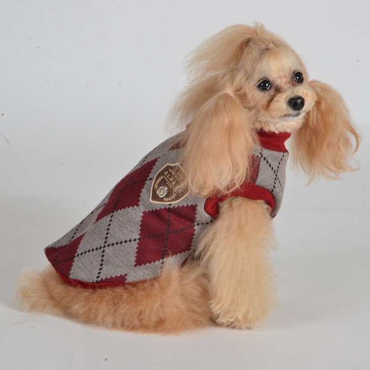 【ALPACA】アルパカアーガイルジャケット